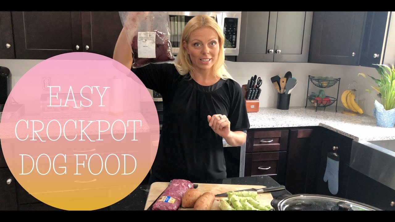 Easy Crockpot Dog Food