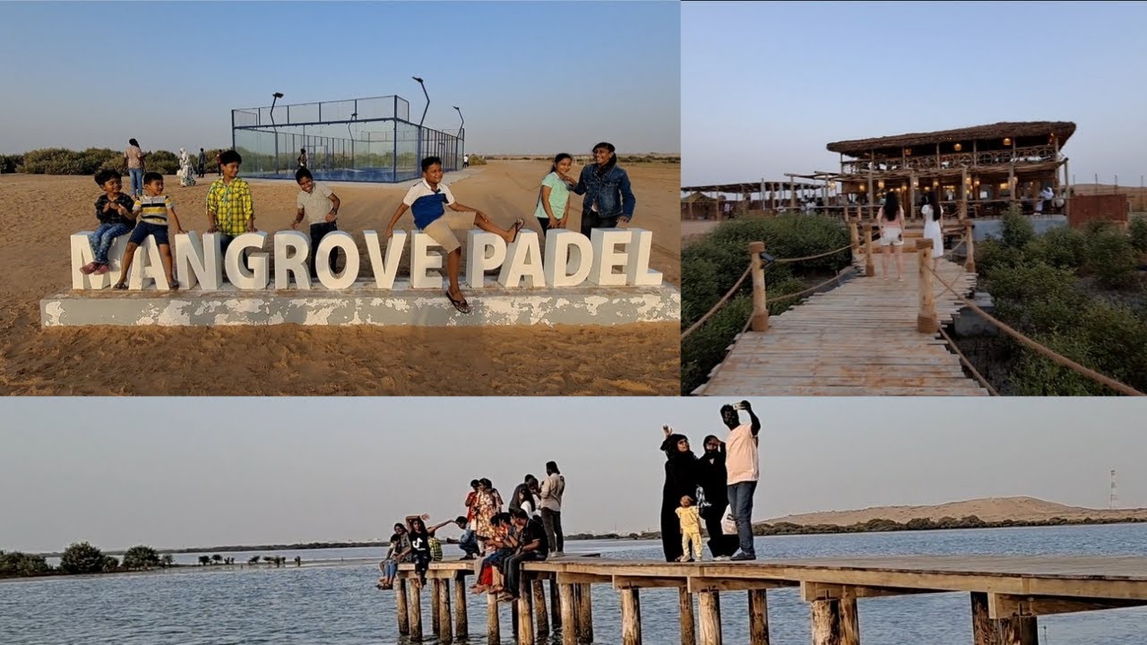 Mangrove Beach | Camping in Eid Holiday | Umm Al Quwain Mangrove Beach | MANGROVES IN UAQ
