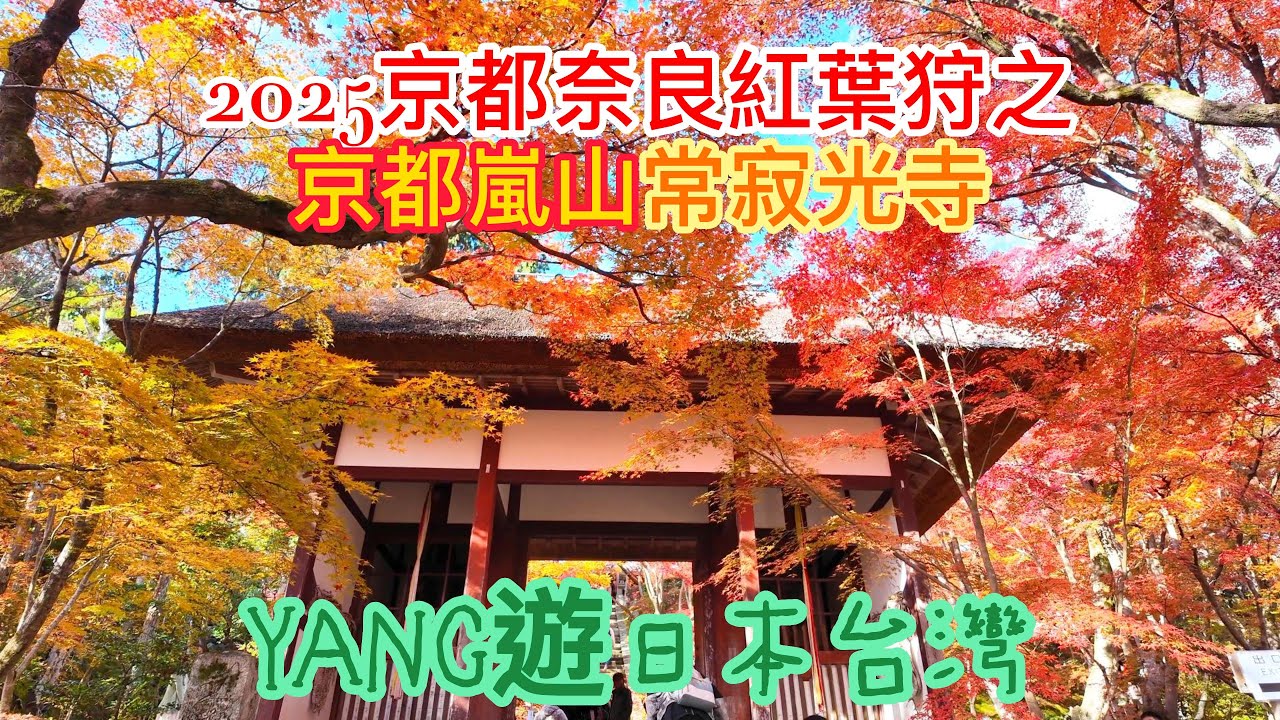 2025京都奈良紅葉狩之京都嵐山常寂光寺