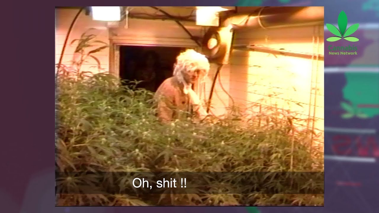 Chris Conrad & Mikki Norris: Their Story | Pt.1: The Golden Years | Cannabis News Network