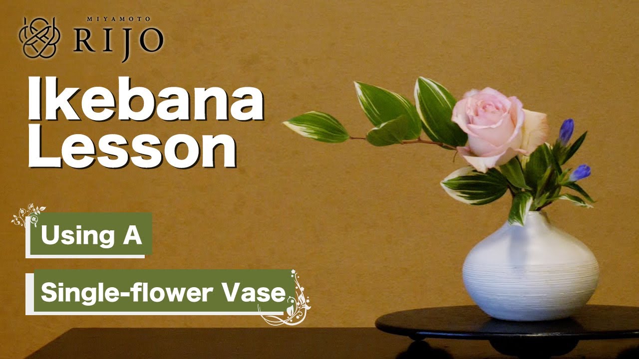 Ikebana Lesson | Is This Difficult?! | Arranging Flowers In A Single-flower Vase