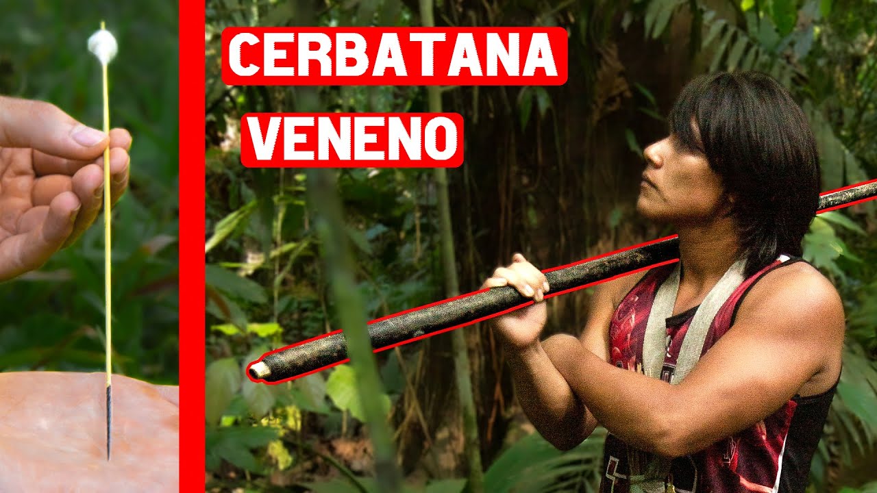 Cerbatana Y Dardos Envenenados En El Amazonas - Caza De Supervivencia