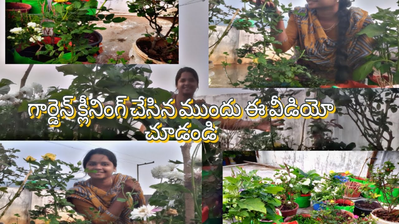 ఈ వీడియో చూసి garden cleaning చేయండి Part1