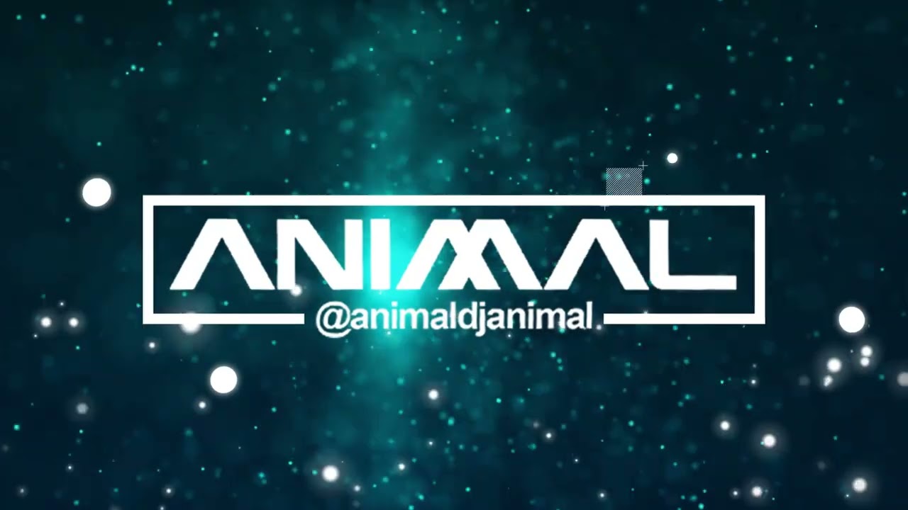 SOPETEO 1 - DJ ANIMAL