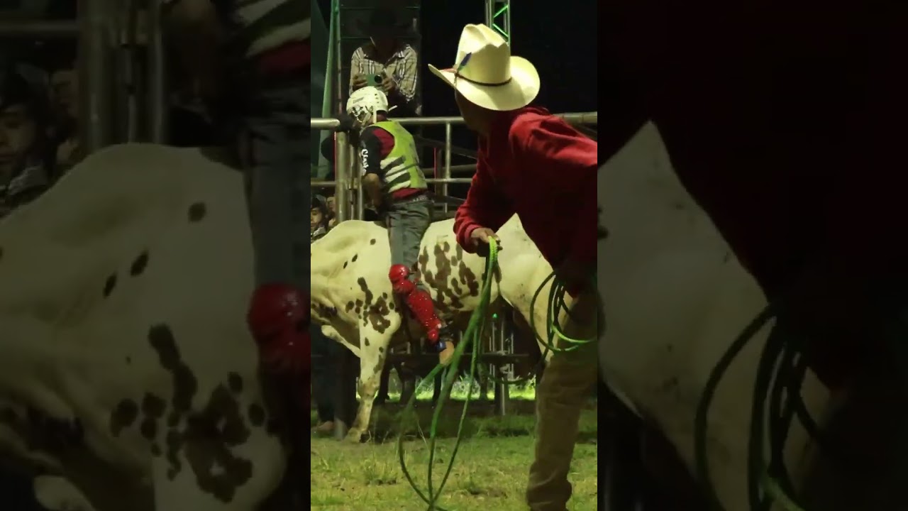 Comando élite 💥‼️