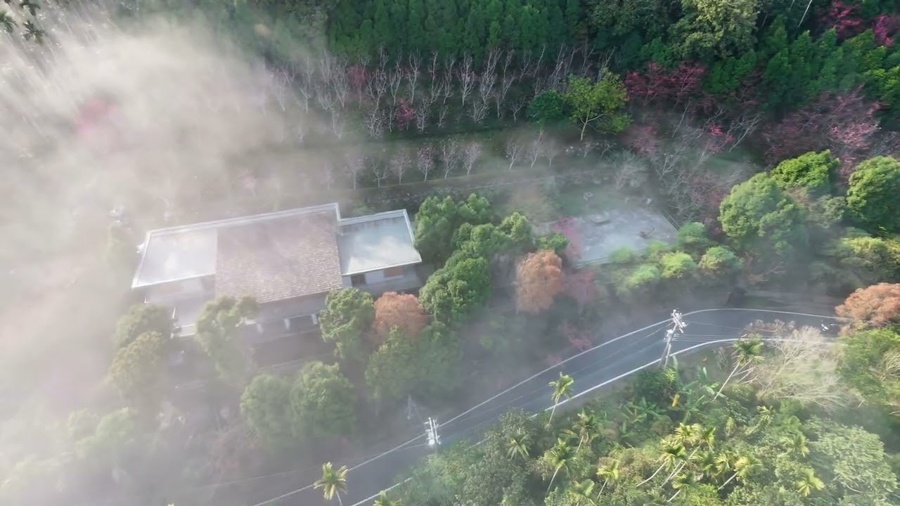 初春雲林縣古坑鄉華山賞雲海 #雲海 #雲林景點 #古坑景點 #春天 #cloudscapes