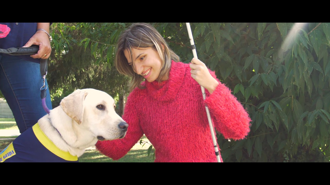 Centro Cani Guida Lions  Filmato corporate 5 minuti