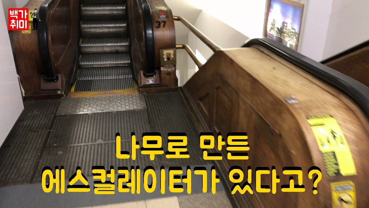 [백가취미 지식] 현존하는 나무로 만든 에스컬레이터