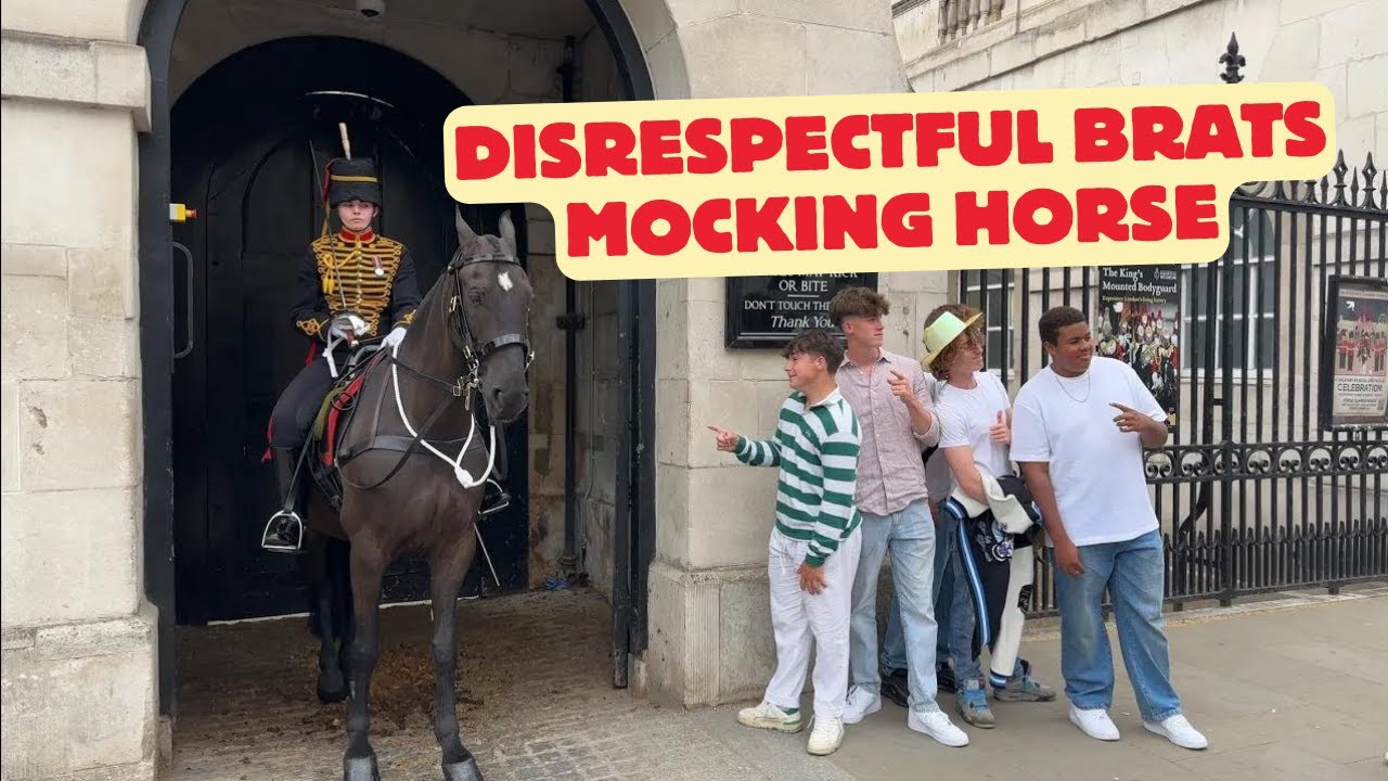 Disrespectful Rude Tourist MOCKING Kings Guard Horse.