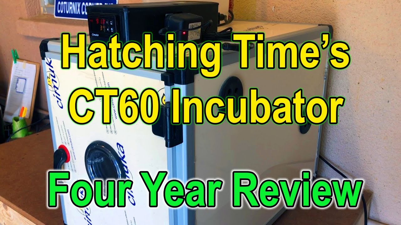 Hatching Time's CT Series Incubator -  Four Year's Later