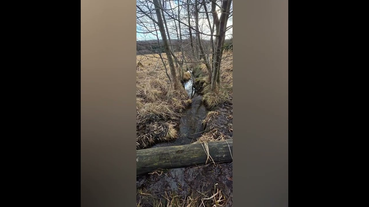 Lüsenberg - Köpfchen - Saukopf Februar 2026