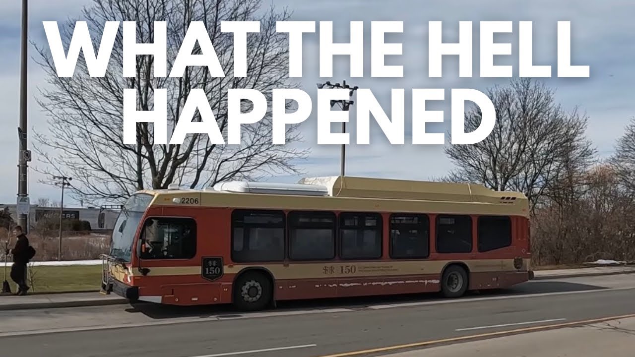 This Was Supposed To Be A Peaceful Bus Ride In Hamilton