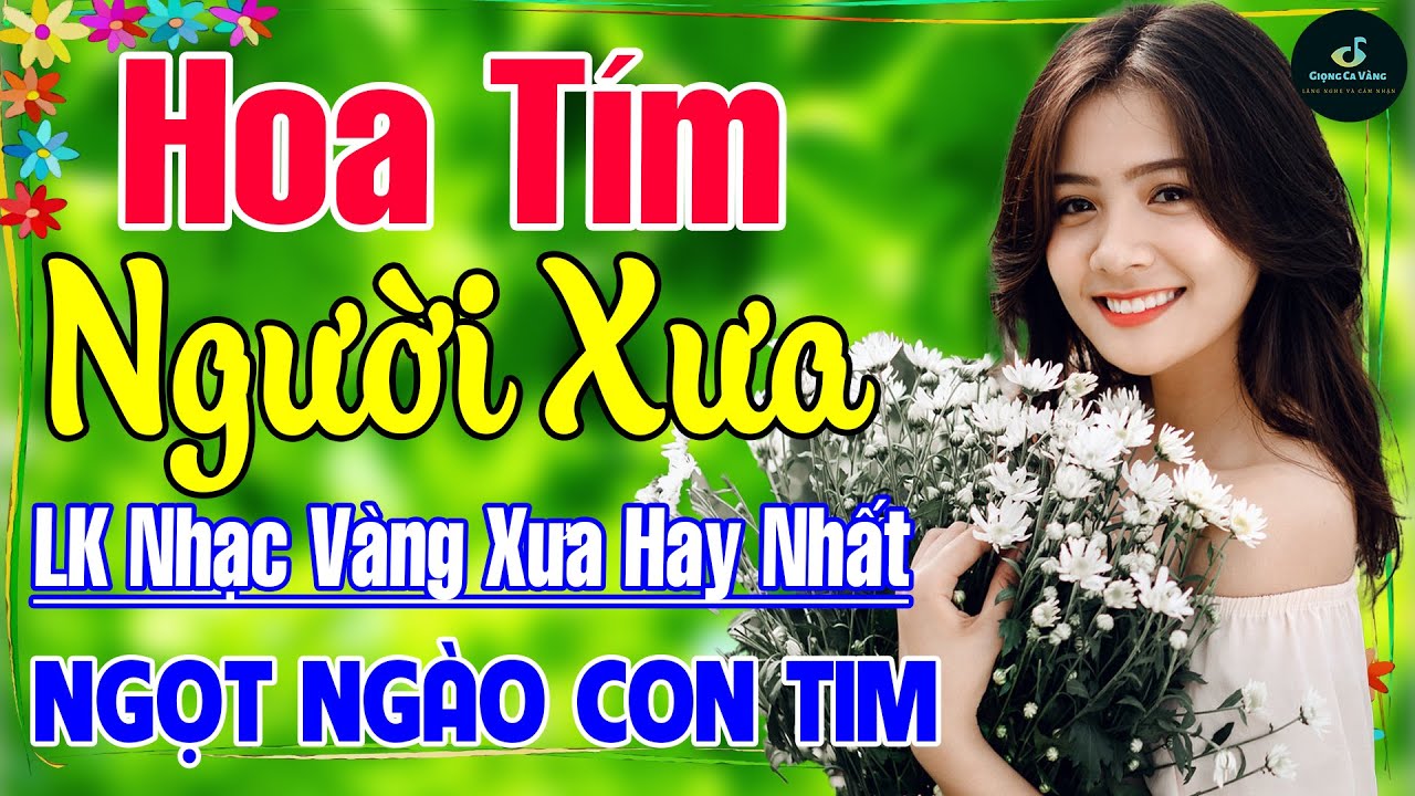 Hoa Tím Người Xưa ➤ Nhạc Vàng Xưa Hay Nhất Vượt Thời Gian ÊM TAI, DỄ NGỦ NGỌT NGÀO SÂU LẮNG CON TIM