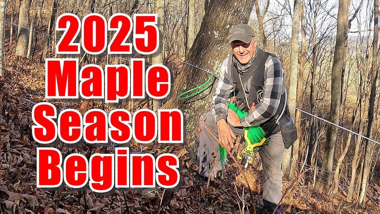 2025 Maple Syrup Season - Let the Fun Begin