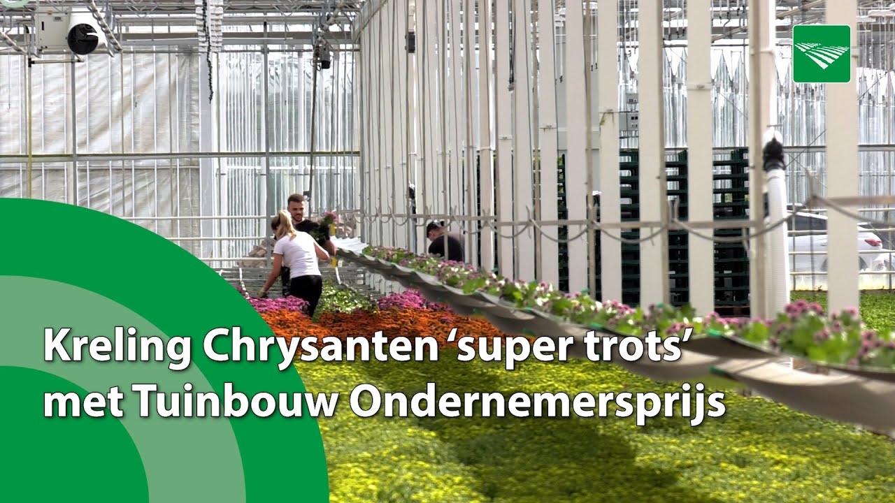 Kreling Chrysanten ‘super trots’ na winnen Tuinbouw Ondernemersprijs