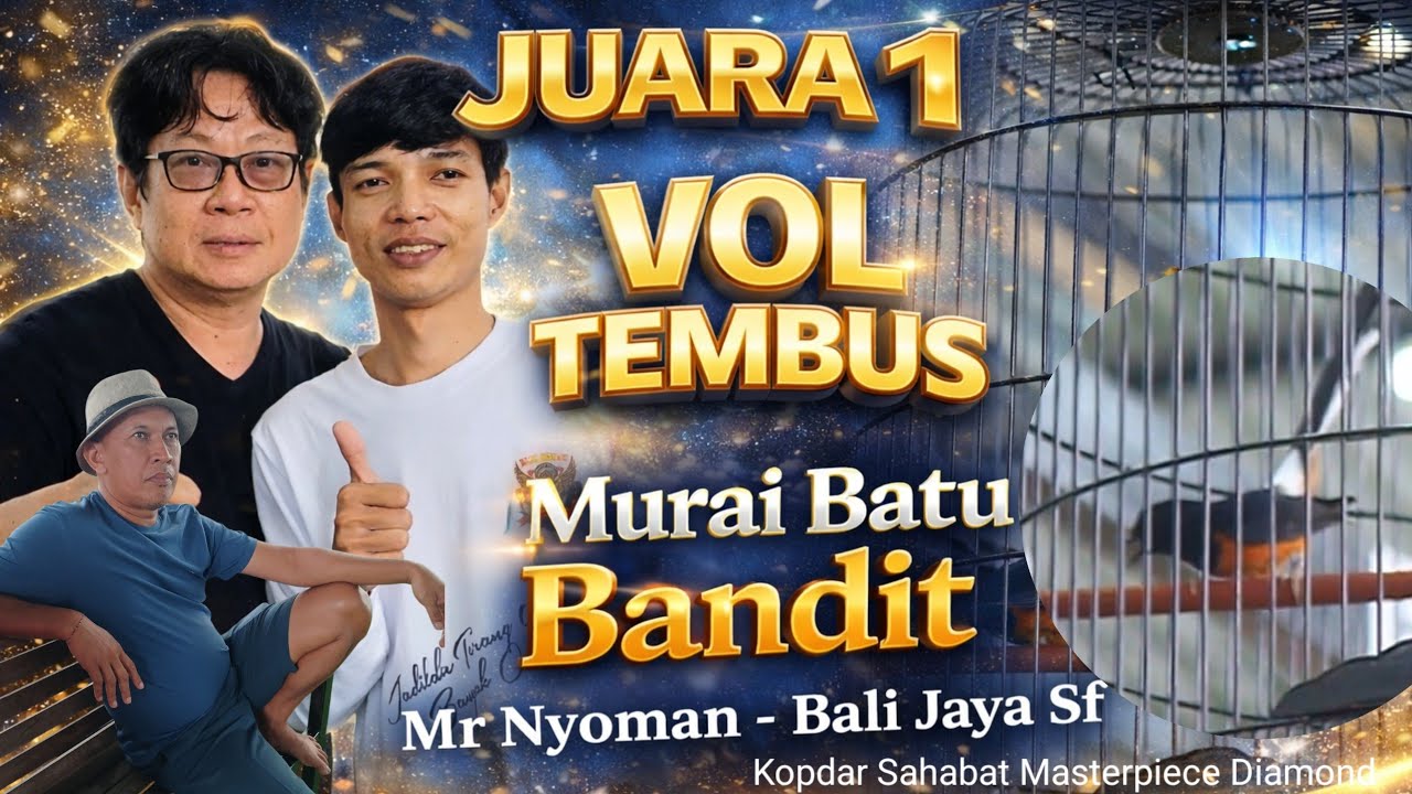 MUDA SEREM KONCER MUTLAK ‼️ MURAI BATU  BANDIT MATERI MEWAH PUKUL + SUJUD ‼️ BALI JAYA SF