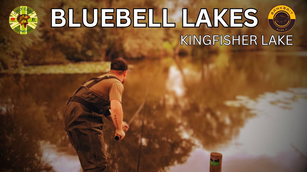 Carp Fishing Vlog at Bluebell lakes | Kingfisher lake | Day ticket fishing with ONLY CARP