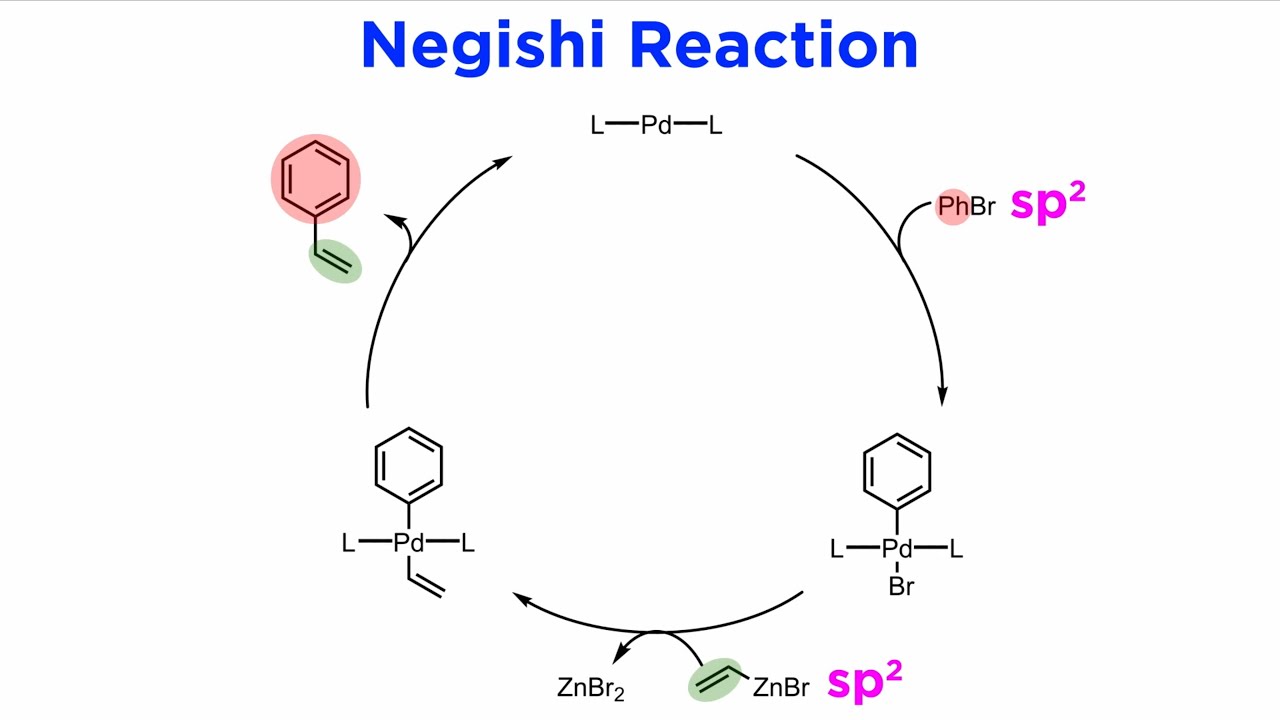 Negishi Reaction