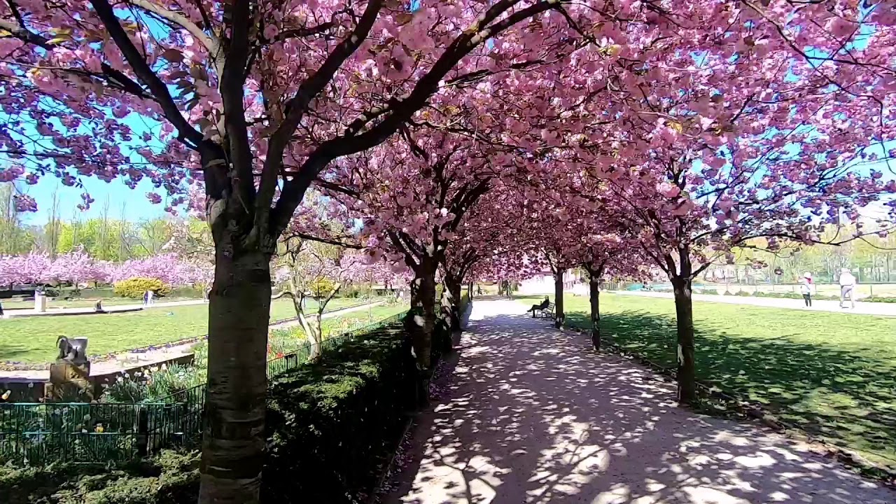 Volkspark Mariendorf