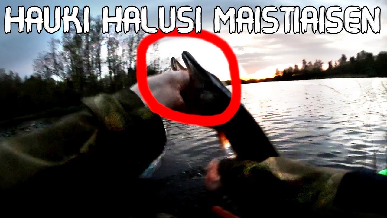 KELLUNTARENGAS KALASTUSTA