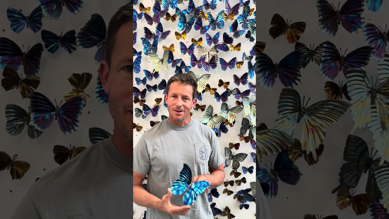 Handmade Titanium Butterflies 🦋 Vivid Colors. Sculpted by Casey Parlette. Available to Purchase Now!