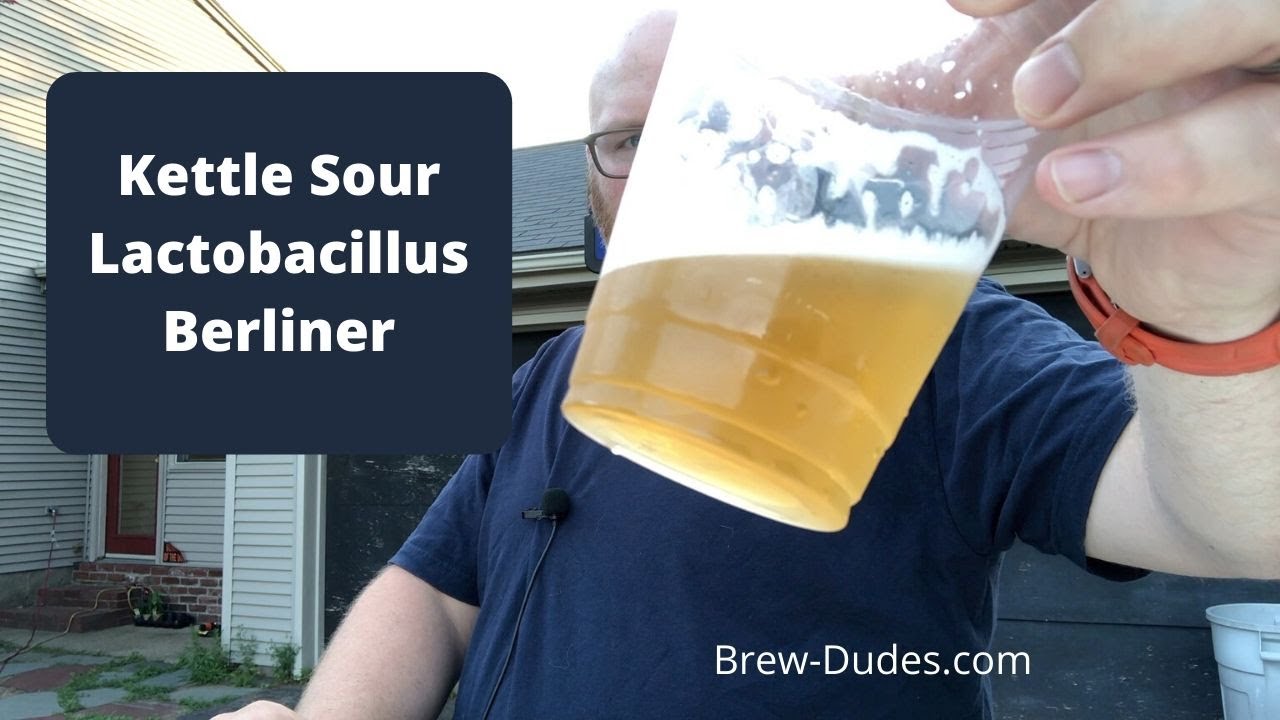 Berliner Weisse Recipe Review - Kettle Soured With Lactobacillus