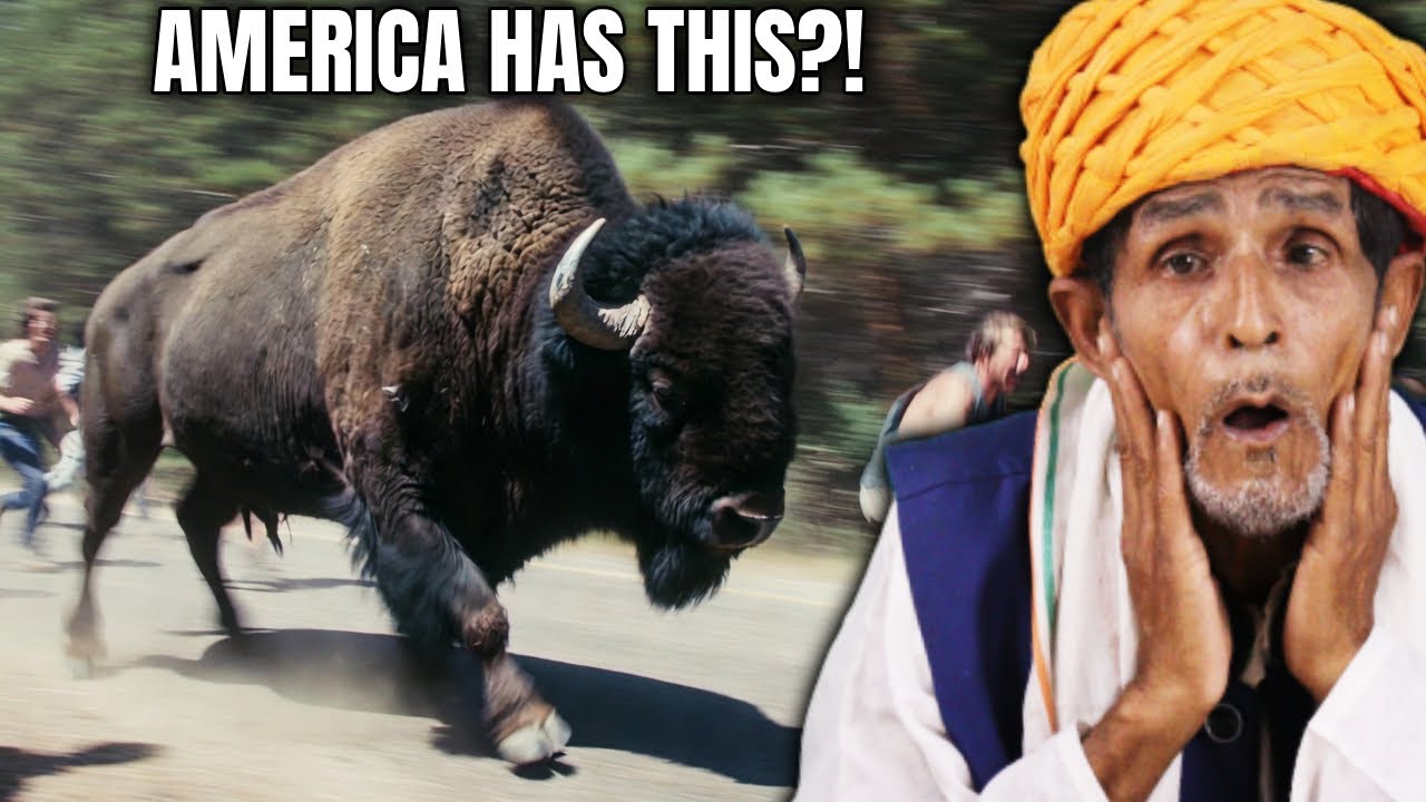 Villagers React to 24 Awesome Animals Found Only in the USA