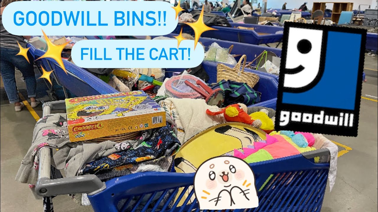 Let’s GO To Goodwill Bins!! Breakables, Home Decor, Handbags & More!! Thrift With Me! +HAUL!