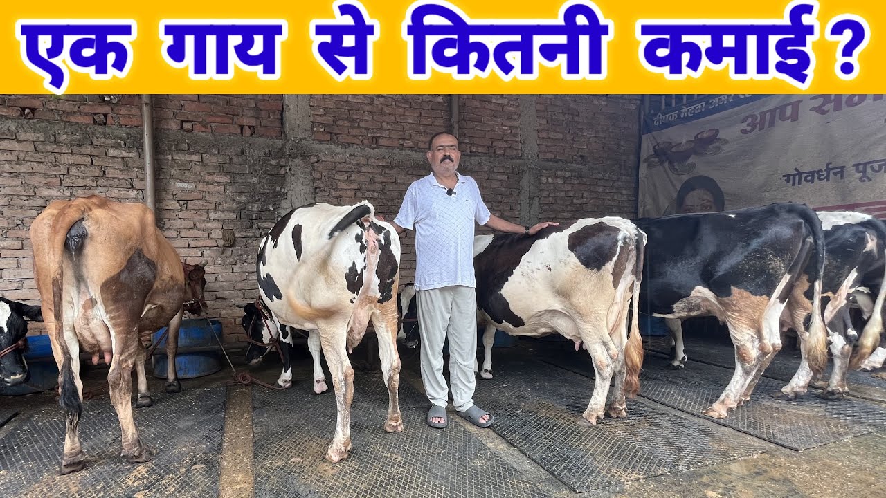 गौ सेवा से भी लाखो महीने की कमाई | dairy farming business plan