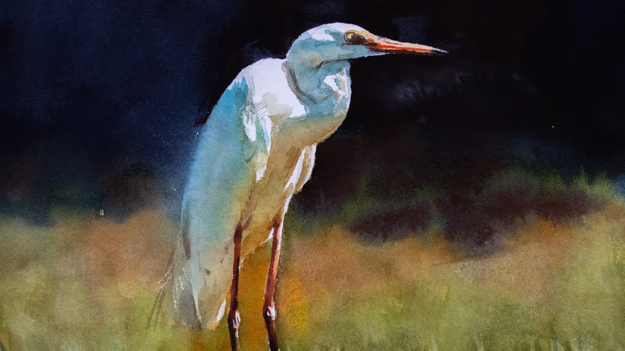Watercolor painting a great heron bird