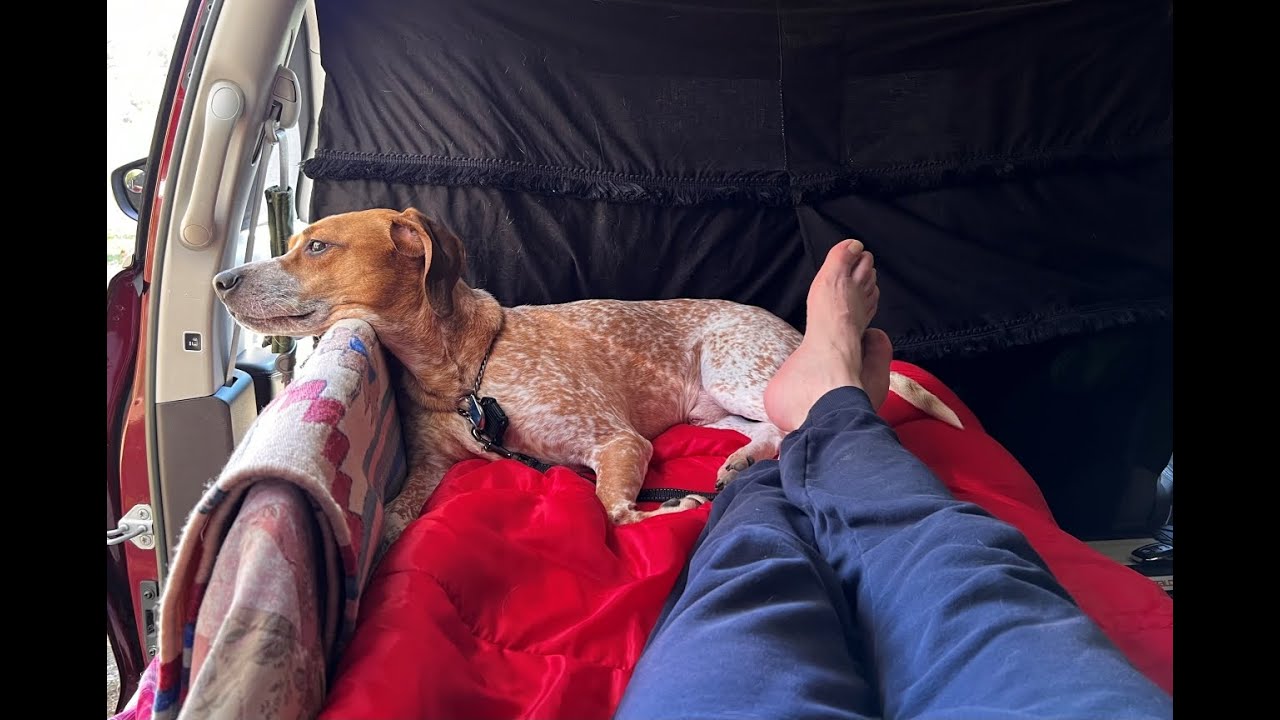 Spontaneous Minivan camping with Taylor (in no-build Pacifica)