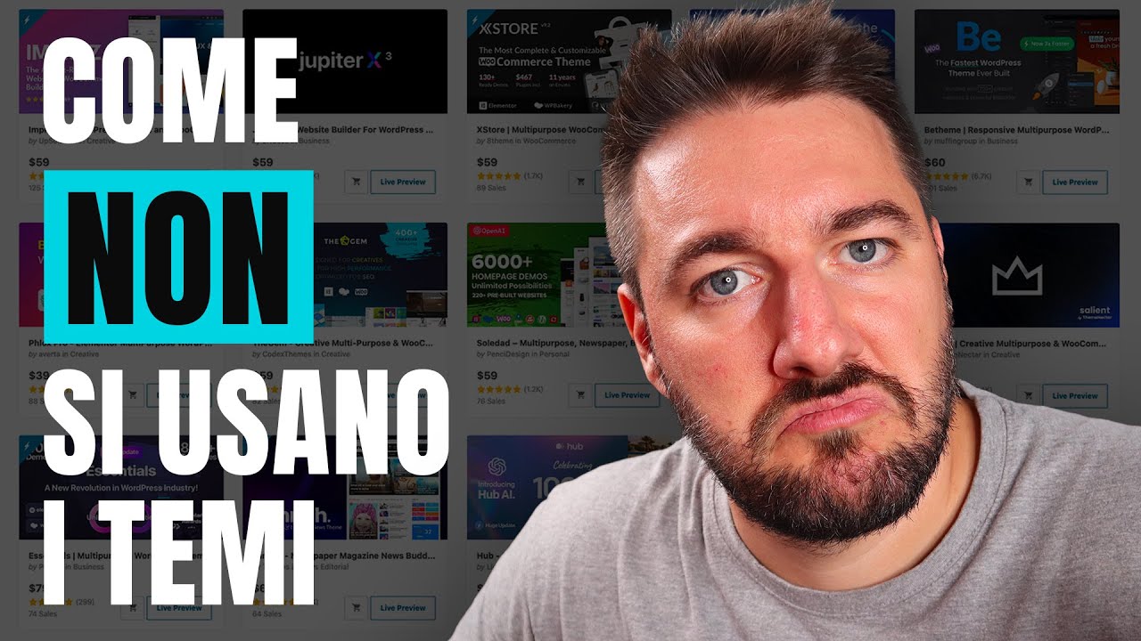 Come (NON) si usano i temi wordpress