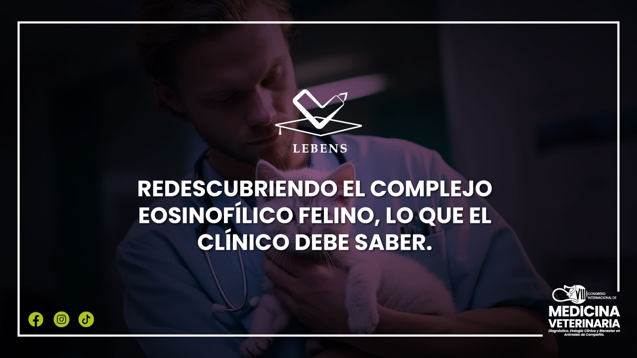REDESCUBRIENDO EL COMPLEJO EOSINOFÍLICO FELINO, LO QUE EL CLÍNICO DEBE SABER.
