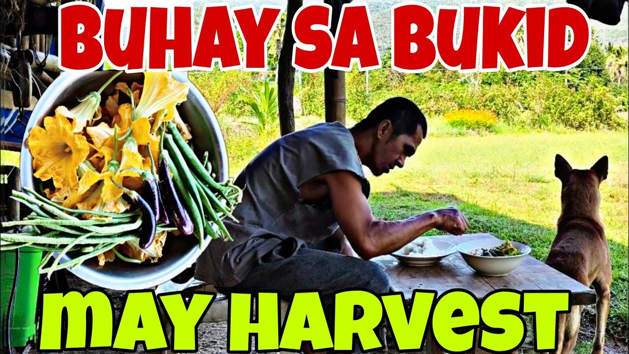 Dito sa Bukid|Buhay Probinsya