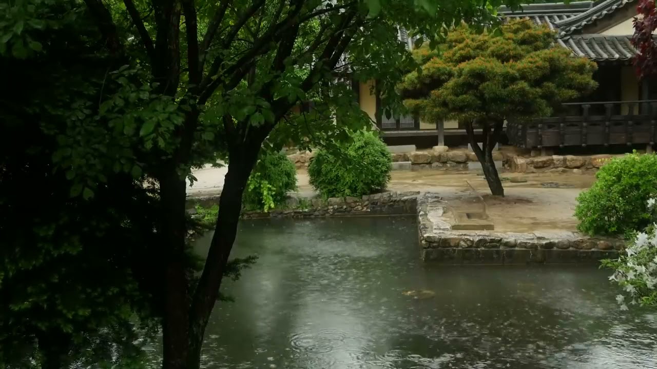 Relaxar:Chuva no lago para dormir e relaxar |som de chuva e trov&otilde;es para dormir profundamente|sono