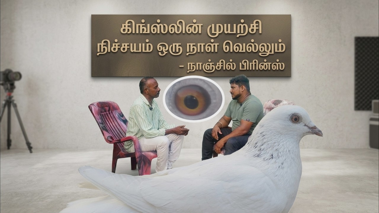 Mr.Kingslin udan Nanjil Prince - Prince Pigeon World