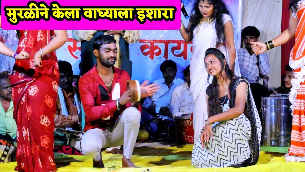 😍💃🥰चार-चार मुरळ्यांच्या मेळ्यात वाघोबाची उडाली धांदल😍💃🥰