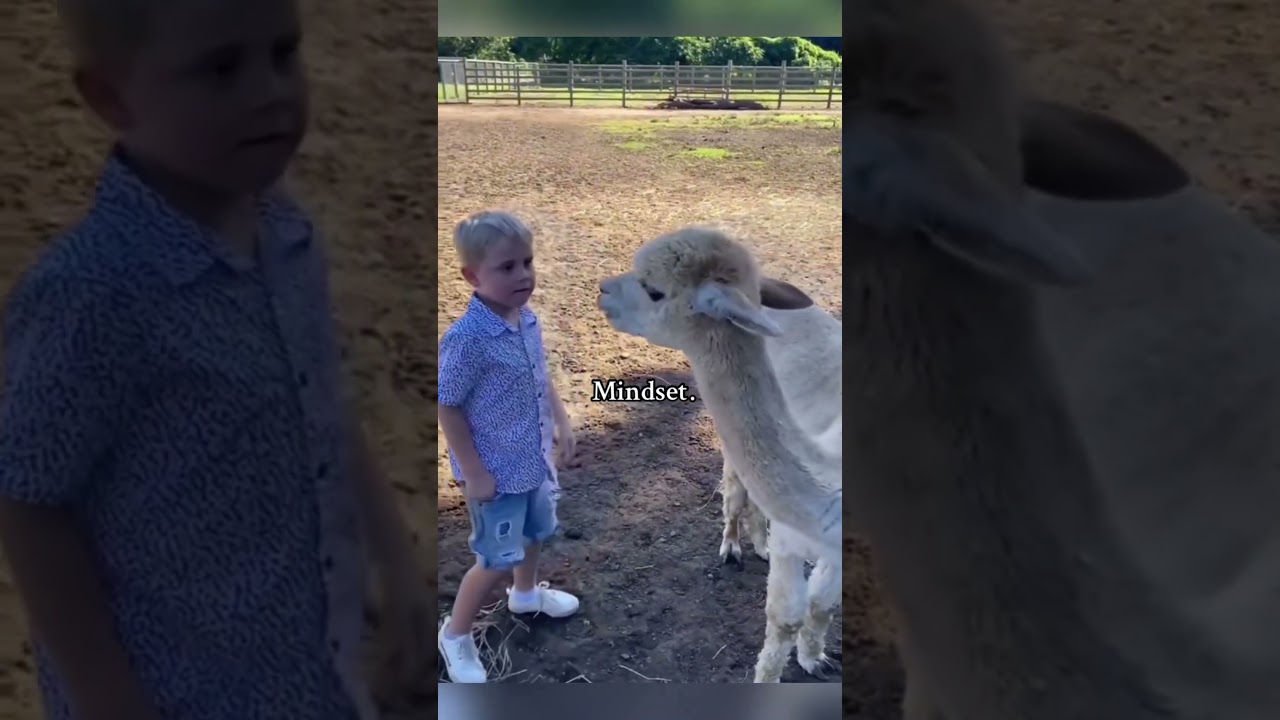 Donkey Mindset. #funny #donkey #viralvideo #viralshorts #fyp