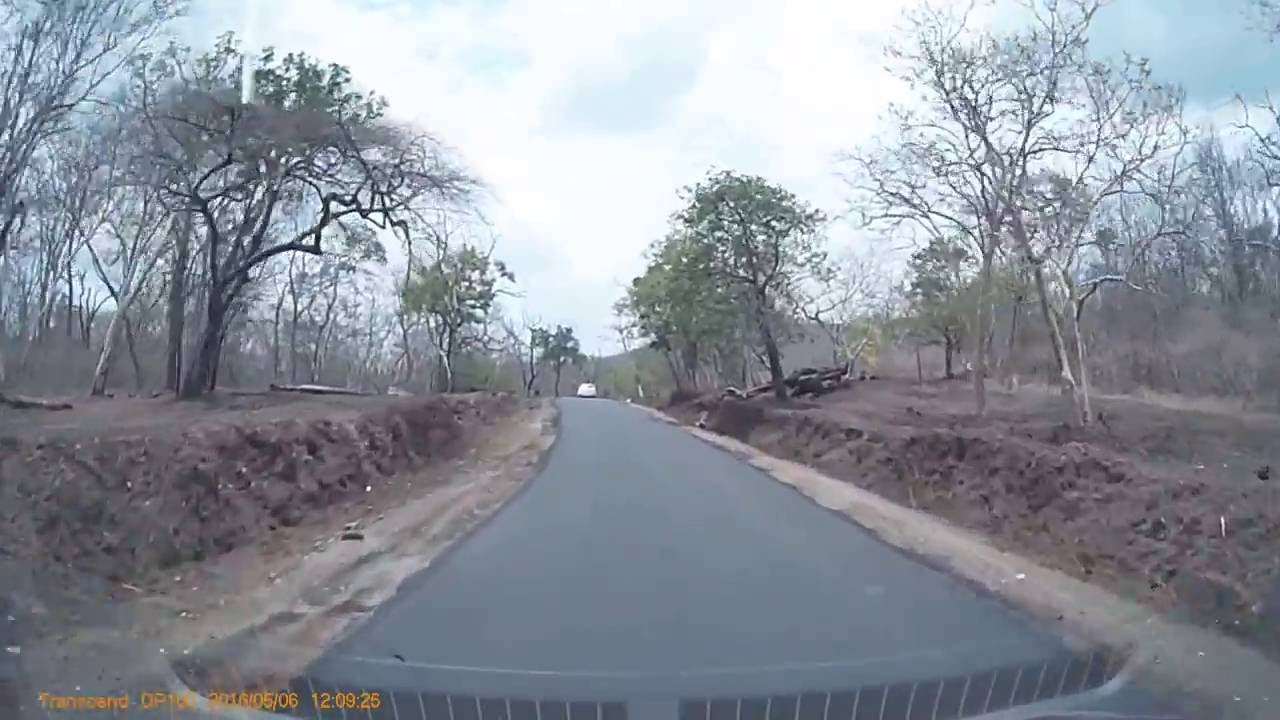 UNCUT Video: Theppakkadu to Ooty