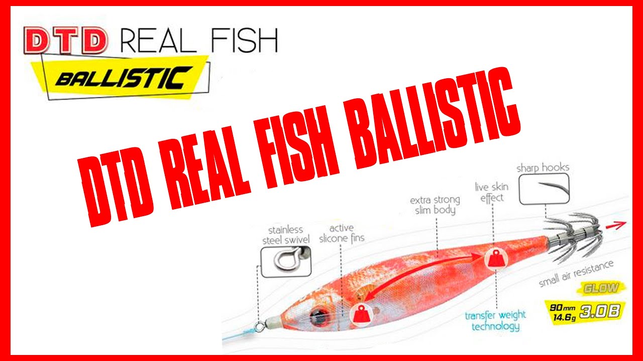6⃣ EGIS favoritos para pescar Calamares / DTD REAL FISH BALLISTIC