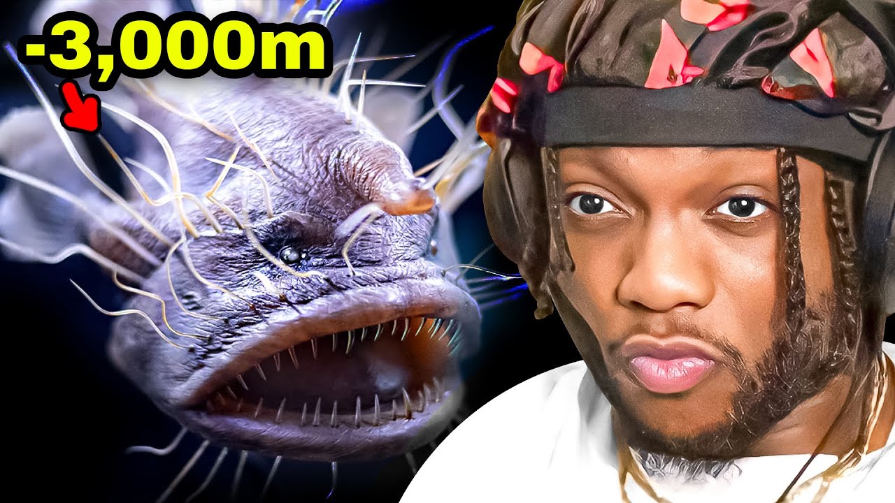Why Animals Look Creepier The Deeper You Go