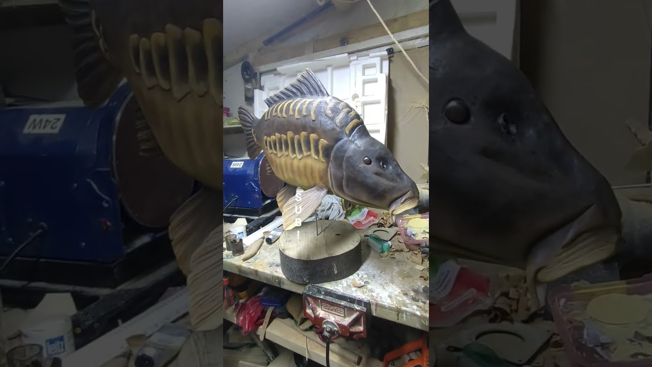Carp painting almost finished, 63cm linear carp 