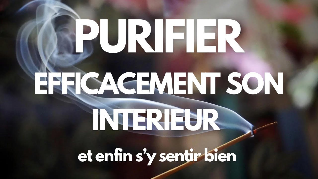 Purifier son intérieur efficacement : mes meilleurs outils