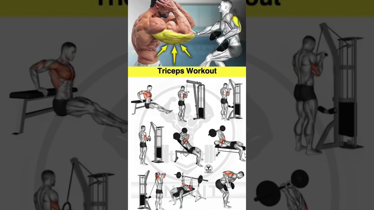 triceps workout at gym | best triceps workout | triceps exercises | Build bigger Triceps !! #arms