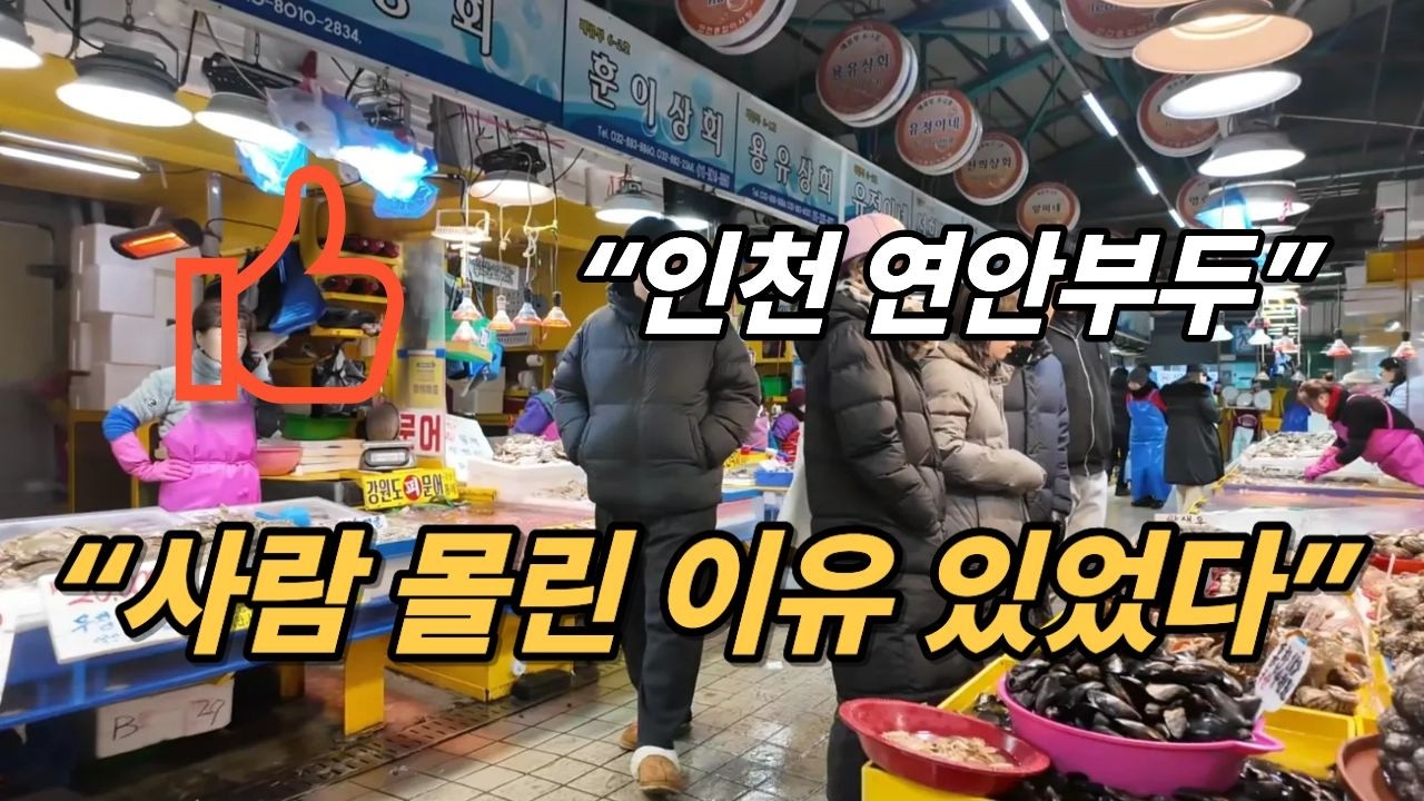 불량이면 서비스까지? 인천 연안부두 종합어시장 킹크랩 등 현장 ~! 힐링여행