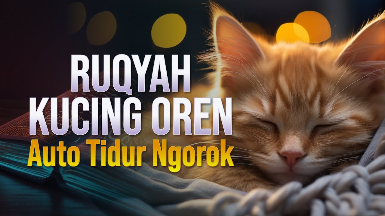 RUQYAH KUCING AUTO TIDUR NGOROK - THE CAT IMMEDIATELY SLEEP AFTER HEARING THIS