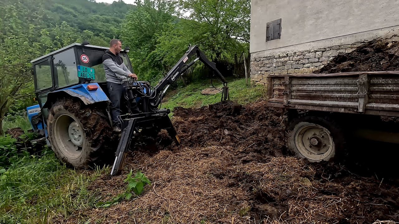 Utovar, transport i ručno razbacivanje stajnjaka po novoj njivi! Vuča stajskog đubreta-DRUGI DEO