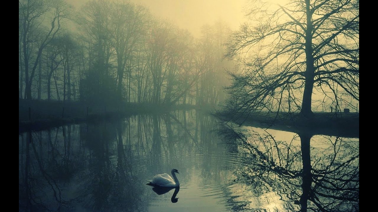 pedro gabriel - solitude horizon