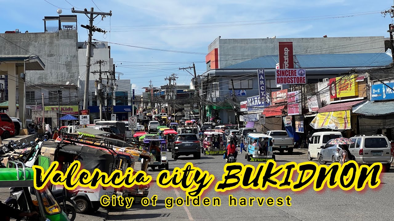 VALENCIA city BUKIDNON walking tour 4K video