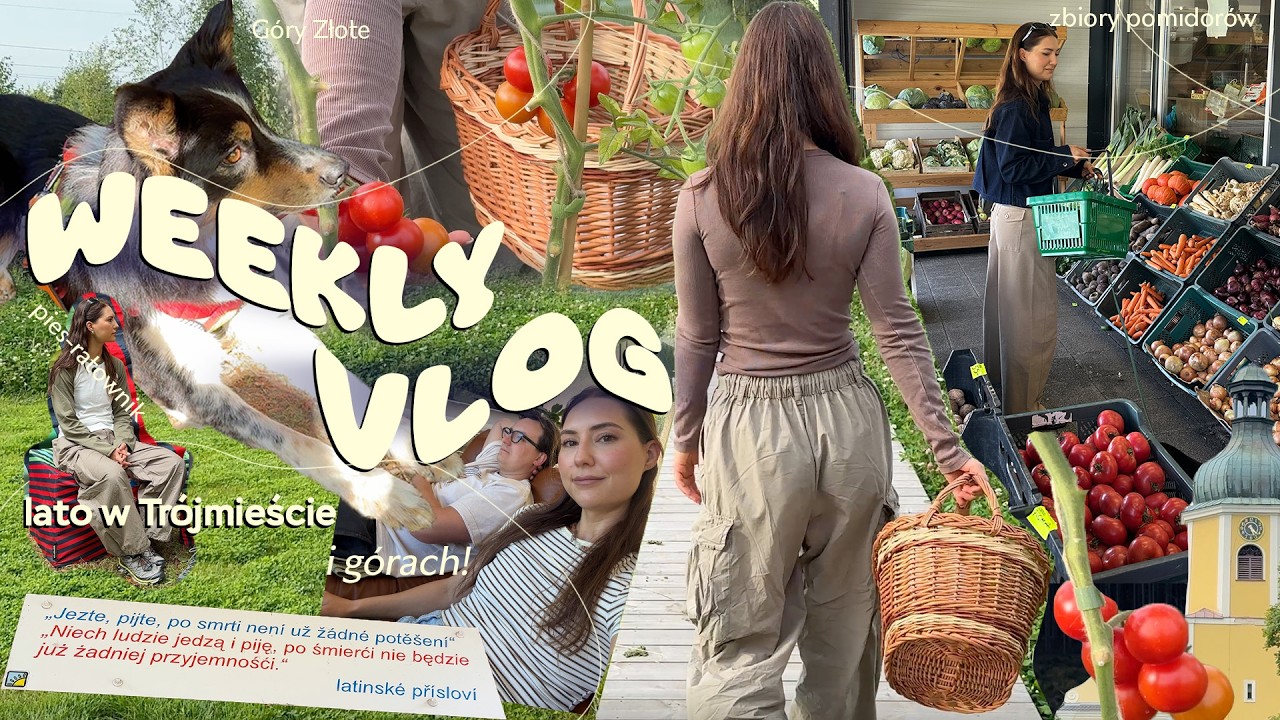 WEEKLY VLOG🍅 solo trip w G&oacute;ry Złote / zbiory pomidor&oacute;w / festiwal g&oacute;rski / dysonowe włosy / ścianka
